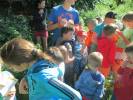 170715_104745_img_8226.jpg