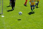 140504_123500_dsc_0130.jpg